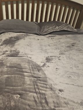 Berkshire Plush Velvet Comforter Set in Grey